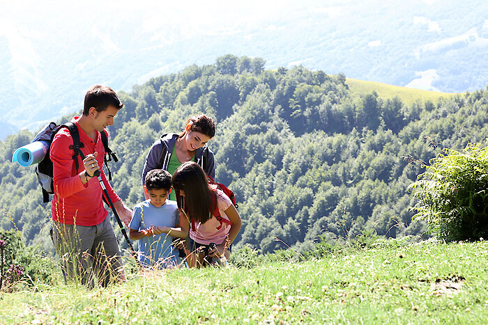 Wandern im Bayerischen Wald
